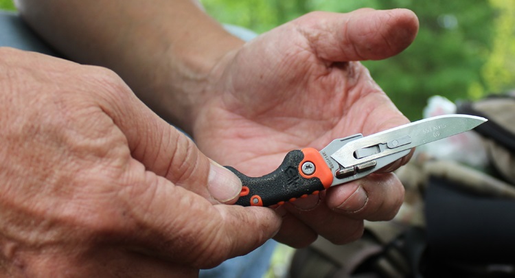 A Beginner’s Guide to Hunting