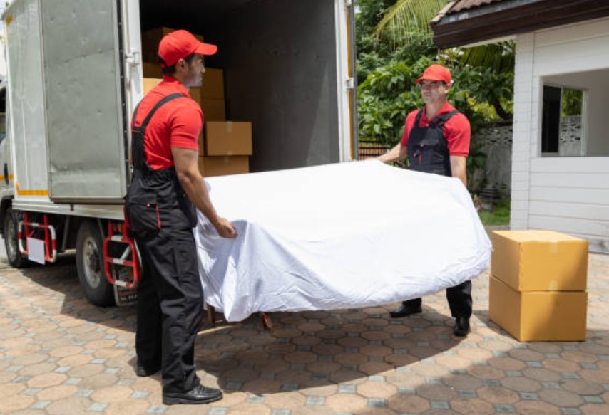 furniture removalists