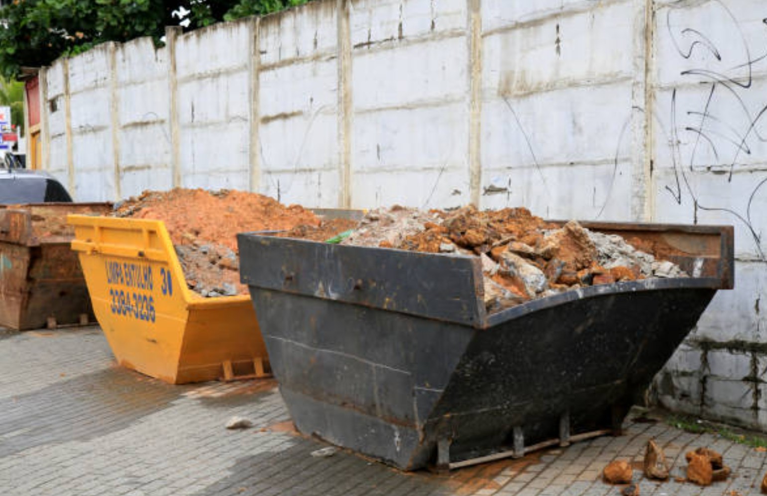 skip bins