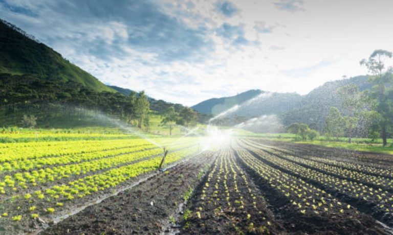 irrigation system